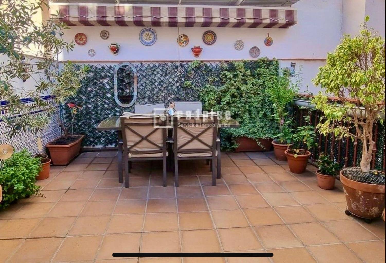 Maravilloso Apartamento Centrico De 70M2, Jardin Propio 40M2 Con Piscina Para Ninos Y Parking Opcional Málaga Exteriör bild