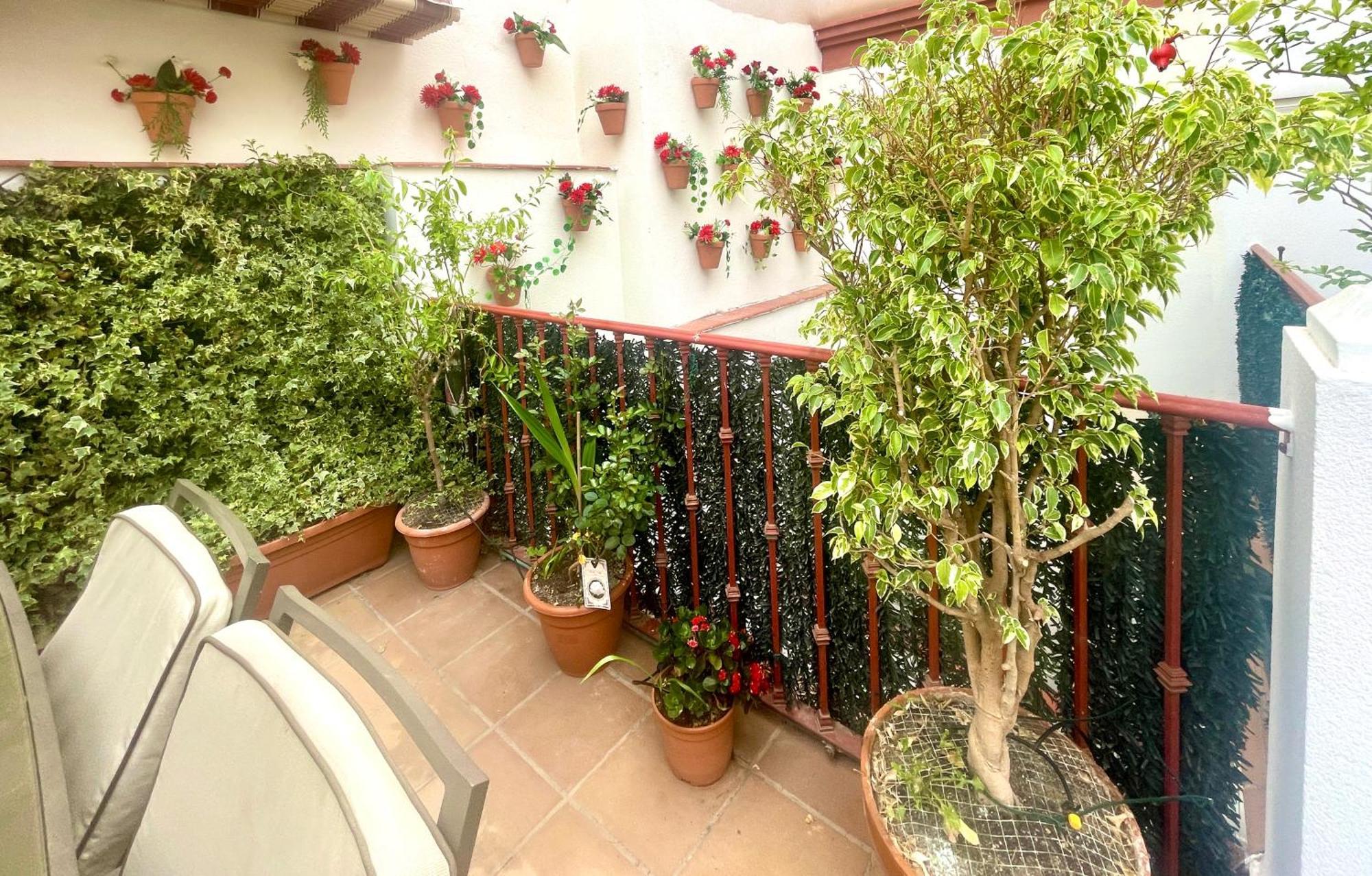 Maravilloso Apartamento Centrico De 70M2, Jardin Propio 40M2 Con Piscina Para Ninos Y Parking Opcional Málaga Exteriör bild